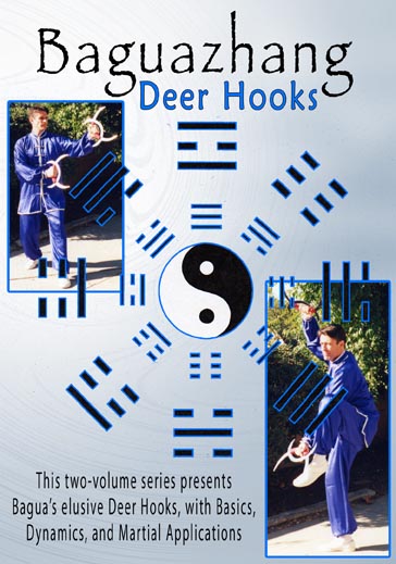 Bagua Hooks