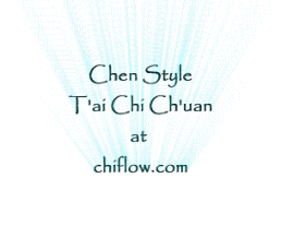 Shake Leg, Stretch Down Chen style App