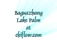 pakua lake palm app