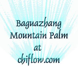 mountain palm app
