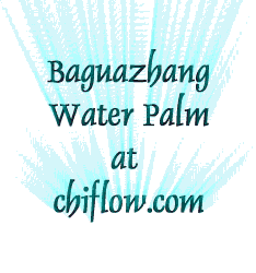 water palm app