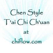 chen style Tai Chi Application